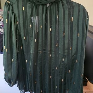 Elegant Green Sheer Women's Top